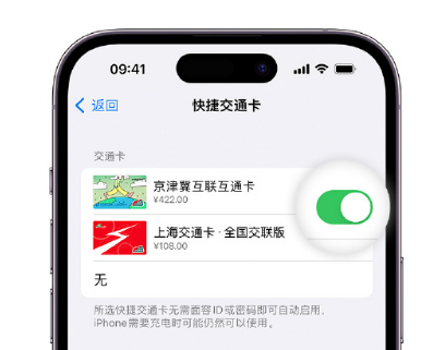 银海apple维修点分享iPhone上更换Apple Pay快捷交通卡手绘卡面 