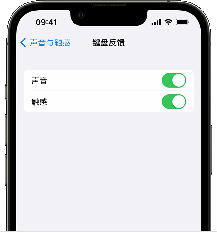 银海苹果14维修店分享如何在 iPhone 14 机型中使用触感键盘 